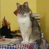 Отзыв от Элла Голубева